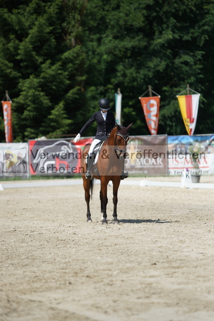 DSC01617 | equestrian-live-com