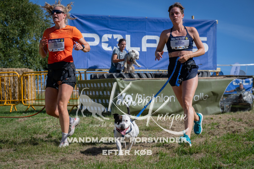 1049_ZZ99234 | kk-dogfotos