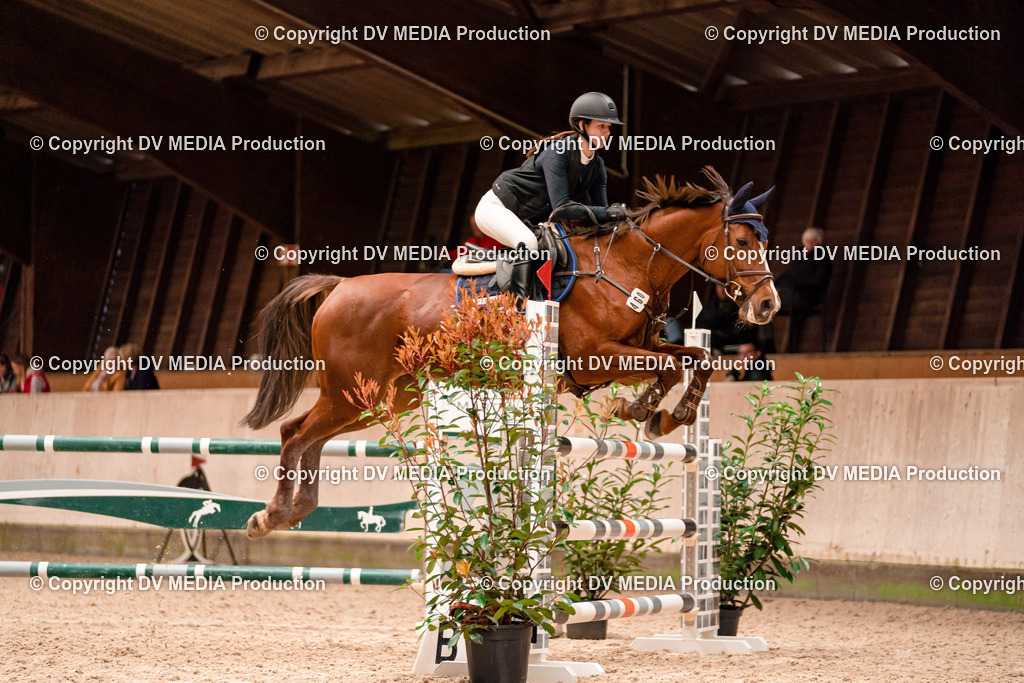 Springen Tag 1-431 | dv-media-shop - Realisiert mit Pictrs.com