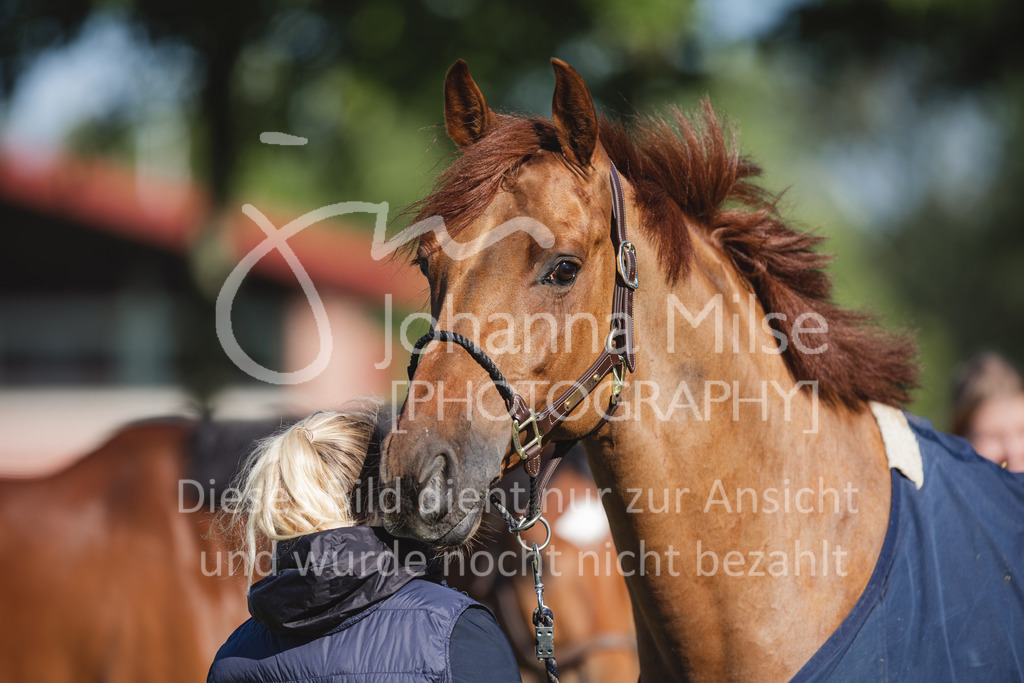 220603_CSI-Wohlde_Chillen-22 | Oerlinghausen Währentrup 26.08.2021, Stilspringprüfung Kl.A*