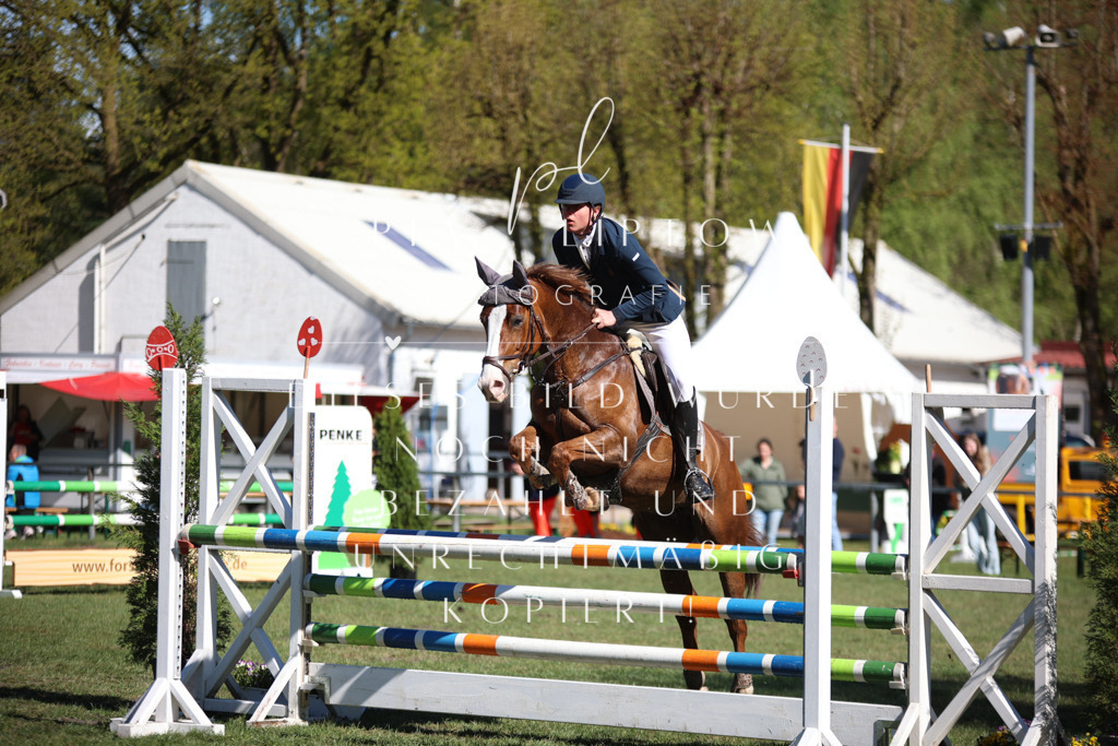 IMGT0450 | pl-fotografie