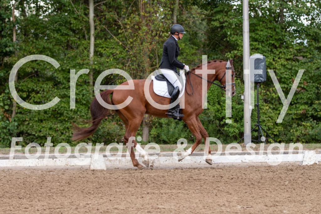 IMG_5089 | Creatify Fotografie