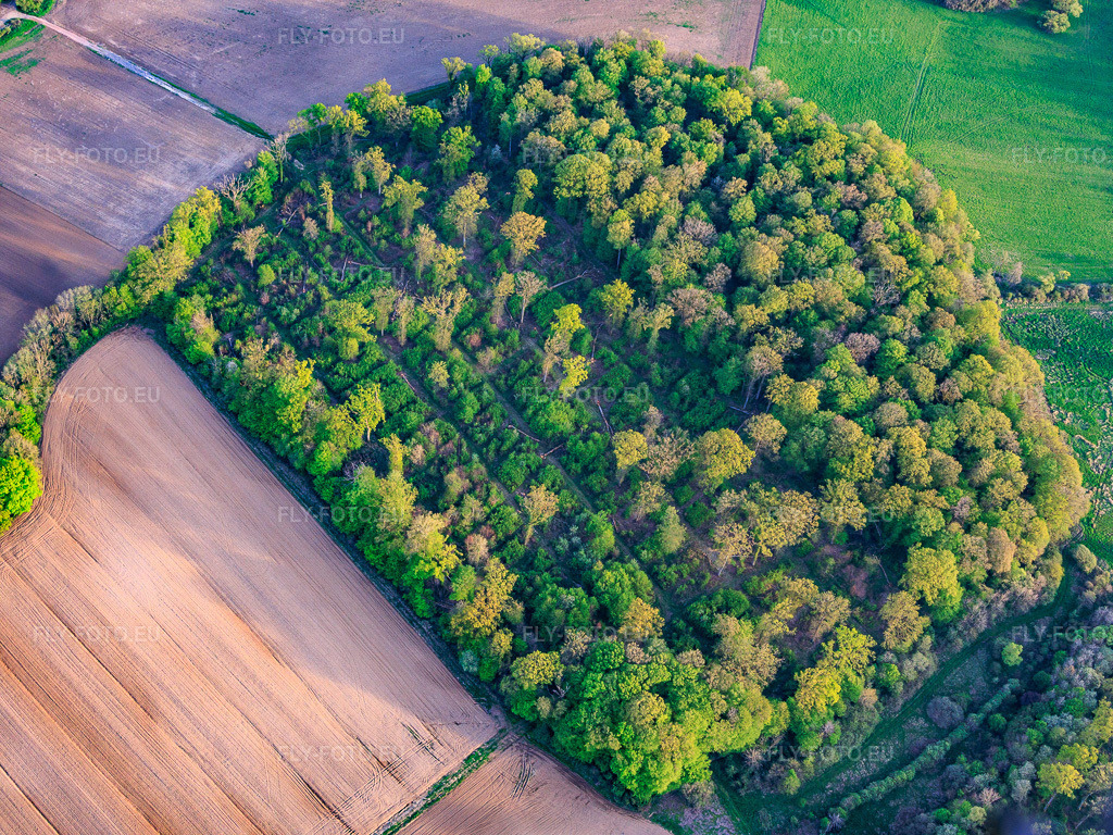 Vue aérienne: Terrains envahis par la végétation sur l'ancien aérodrome militaire de Grostenquin à Lixing-lès-Saint-Avold dans le département Moselle, France.Photo: IMG_154732.jpg prise le 17/04/2026 par Werner Riehm/FLY-FOTO.euRésolution de l'original: 5333 x 4000 px