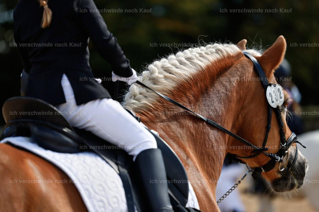 01--Ponyführzügel -StoibPH-6633 | working equitationturnier fotograf videograf stoibphotography marixx film working equitation deutschland reitsport turnierfotografie eventfotografie equestrian events