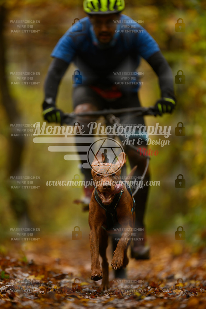 MompixPhotography_CD7S_DI_Bike-34 | mompixphotography