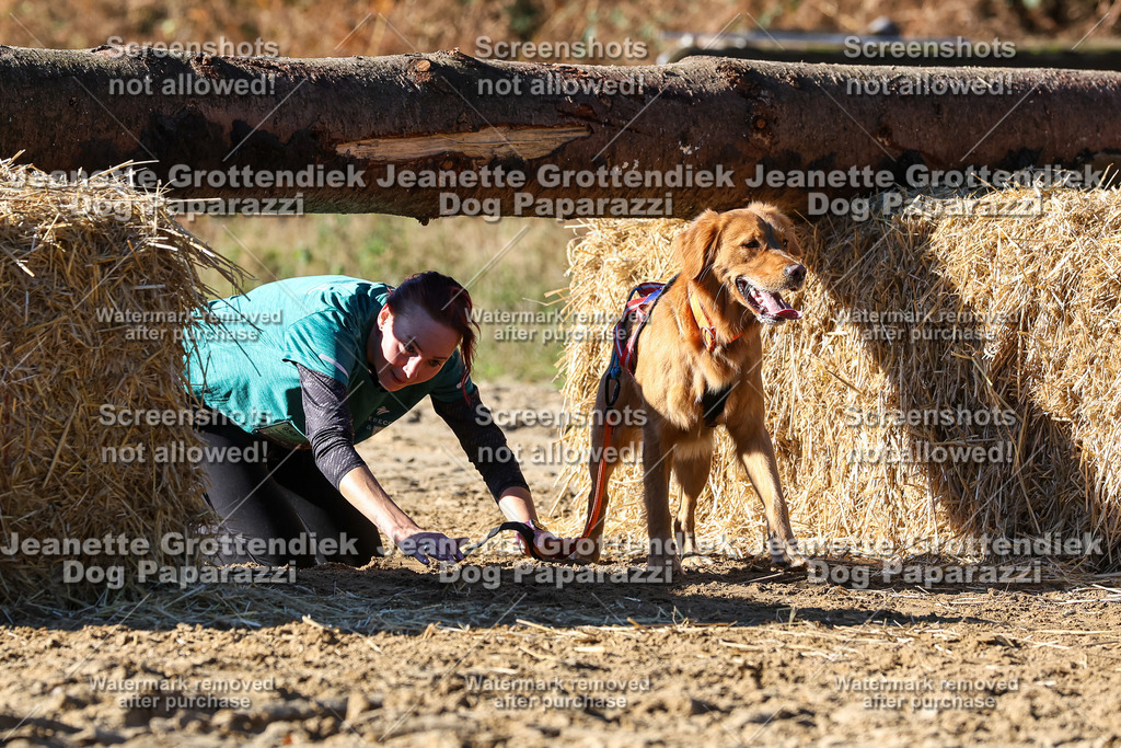 Dog Paparazzi - Strongdog 10-25-2705 | Dog Paparazzi Jeanette Grottendiek Fotografie & Videografie - Realisiert mit Pictrs.com