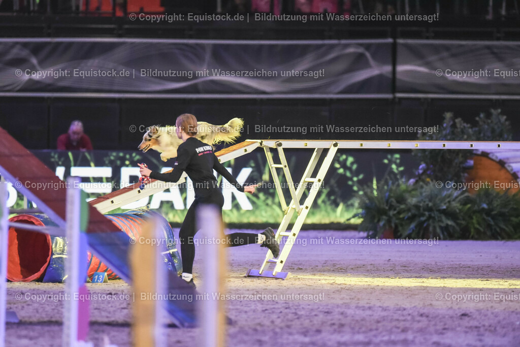 20231115_Dog-Agility_0227_TOMsPiC | Foto: Thomas Hartig