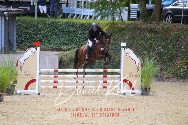 DKP40509 | Turniersportfotografie; Pferdefotografie; Dressurfotografie