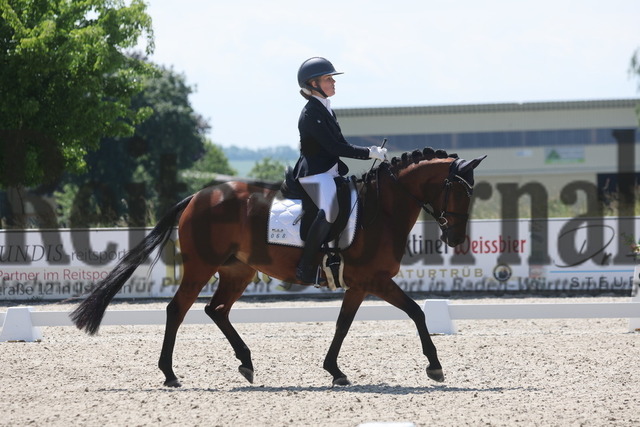 Rot am See_2024_Prfg.Nr.21_Qual.BCH_und_LCH_5-jähr.Ponys_Stella Zimmermann_Duchess Darcy (1) | Alle Fotos der Reiterjournal Fotografin Doris Matthaes im Reiterjournal Online-Fotoshop. - Realisiert mit Pictrs.com