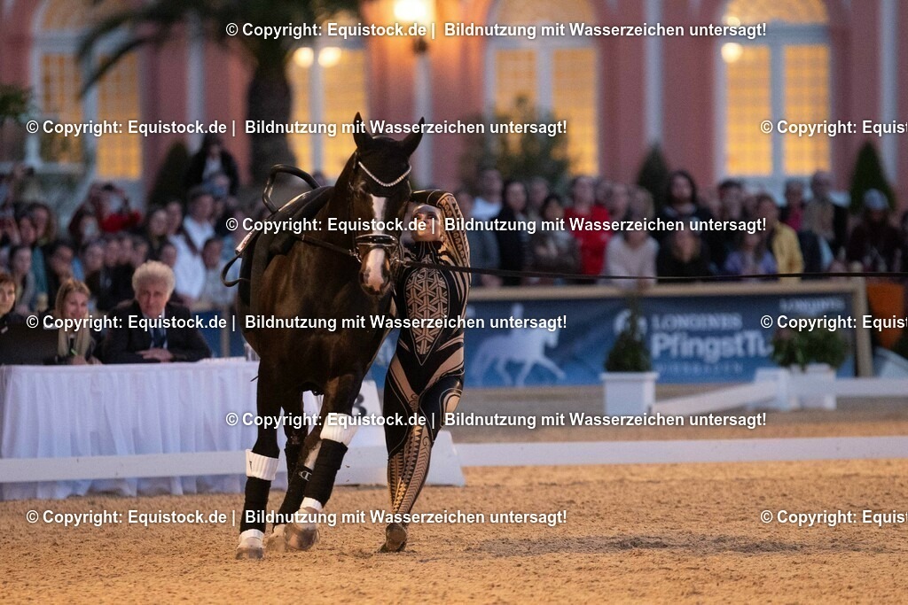 20230527_Voltigieren_NASPA_Flutlicht_0521 | equistock