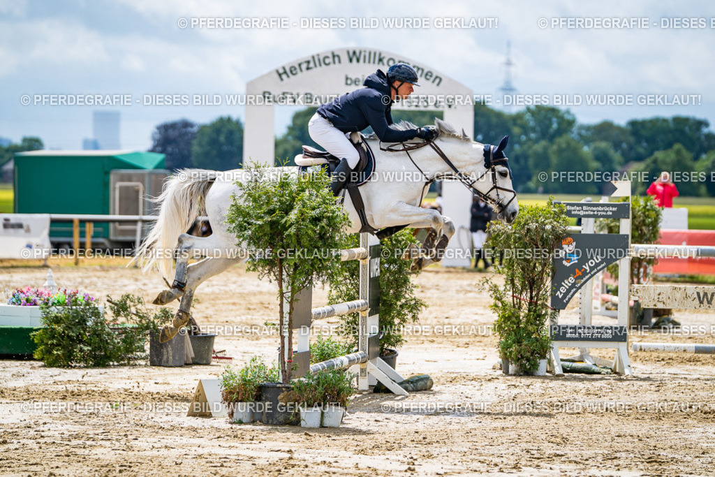 DSC04846 | Pferdegrafie