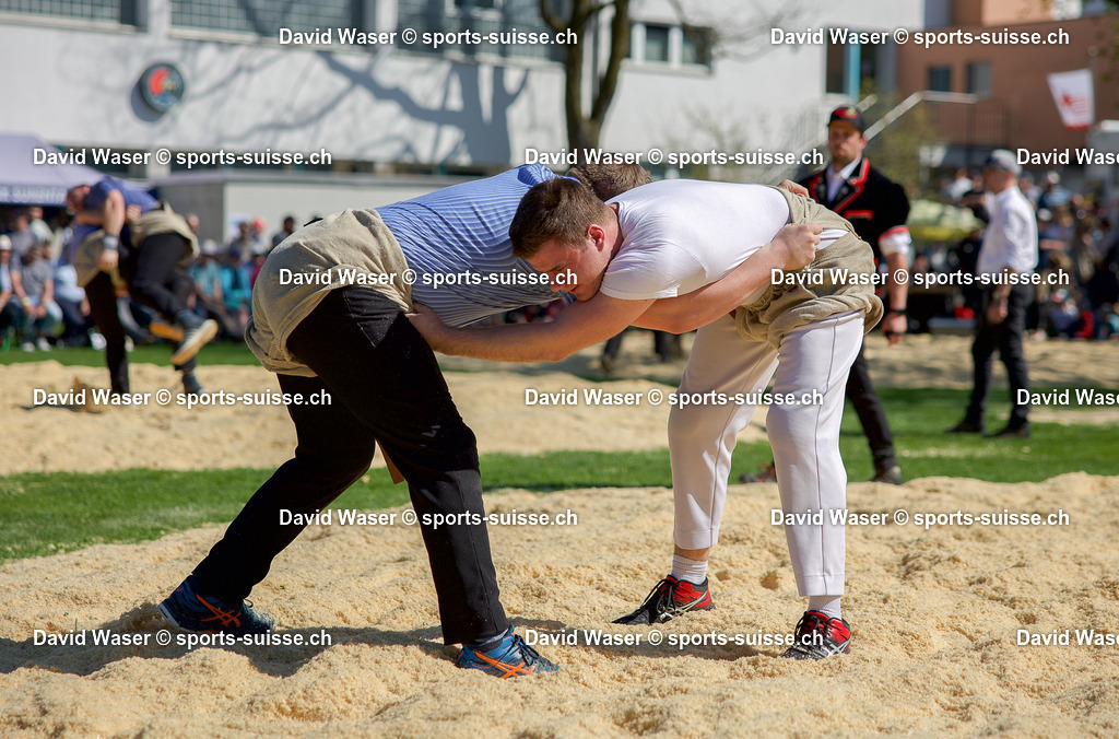 Zurfluh Roman __ - Schmid Simon _ 15. Surentaler Frühjahrsschwinget Sursee_ 05.04.2025 | sports-suisse.ch