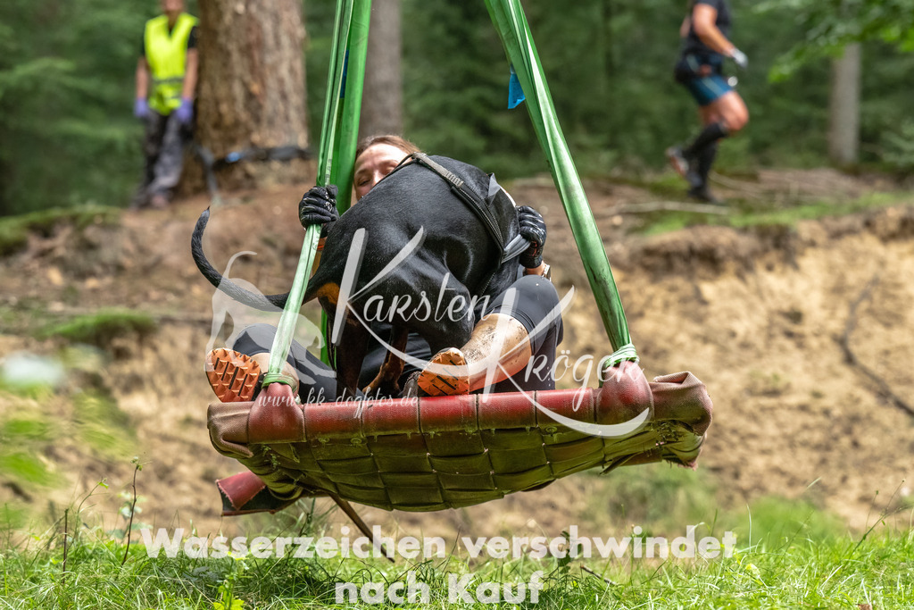1137_ZZ94971-Bearbeitet | kk-dogfotos