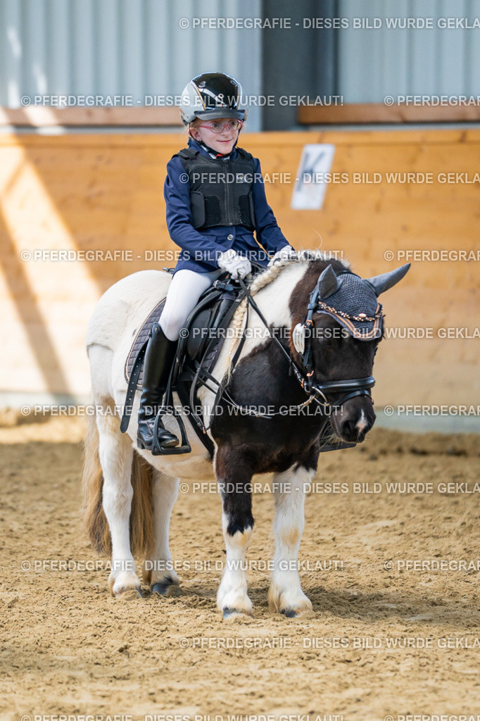 DSC01435 | Pferdegrafie