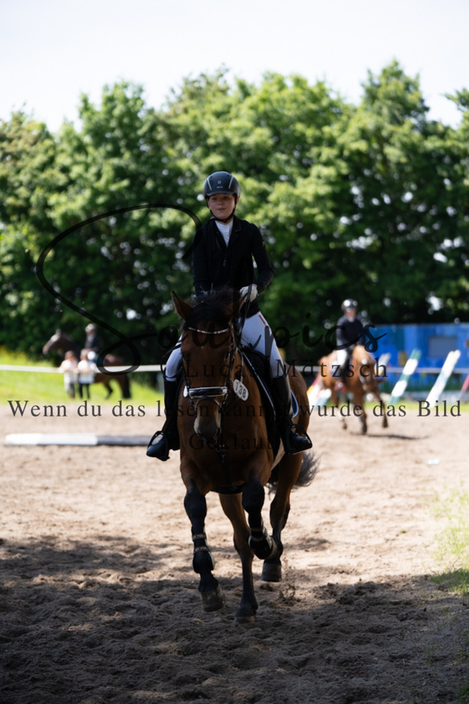 A7V04372 | Pferdefotograf