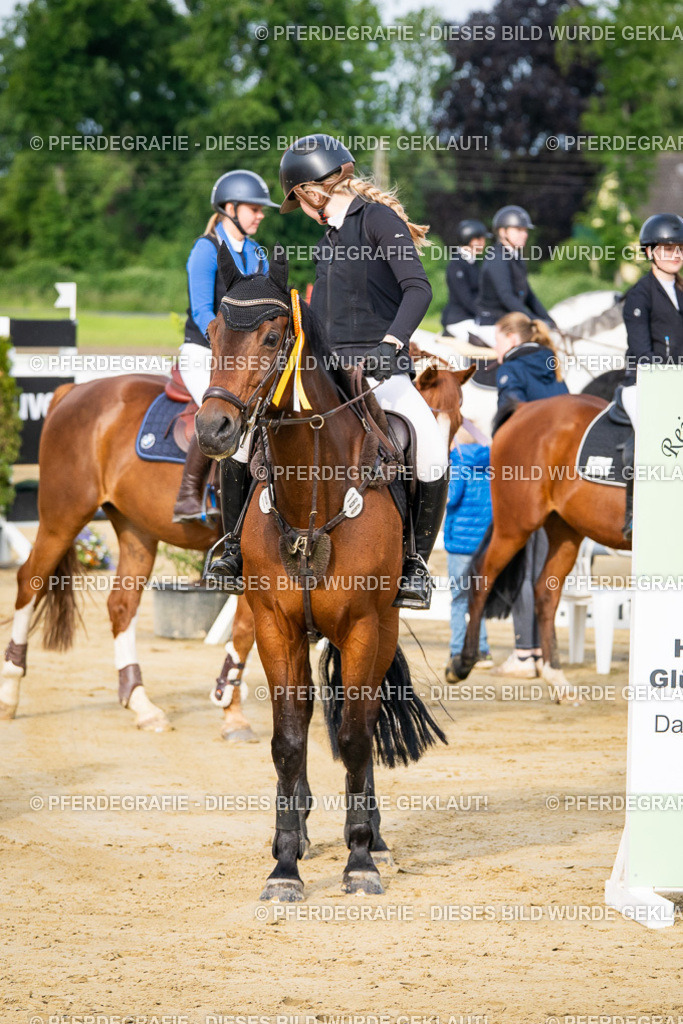 DSC03112 | Pferdegrafie