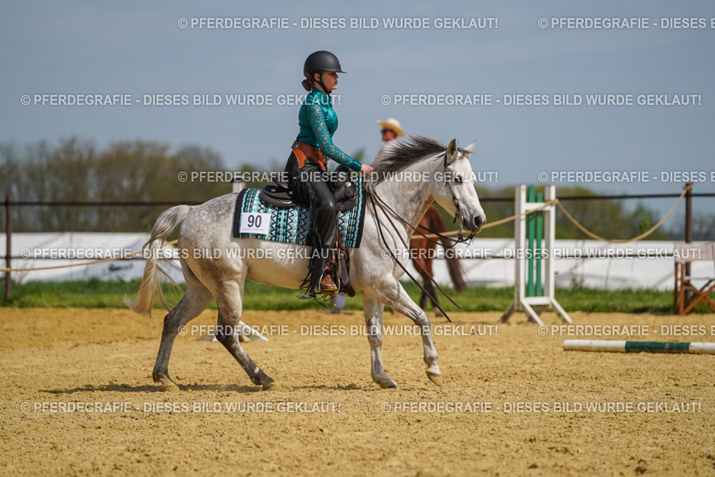 DSC04586 | Pferdegrafie