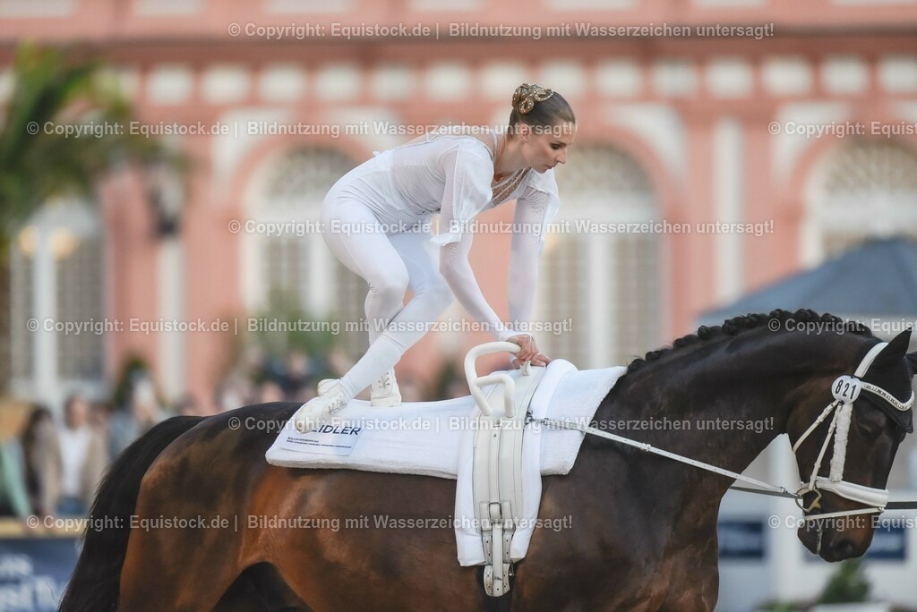 20230527_Voltigieren_NASPA_Flutlicht_0133 | equistock