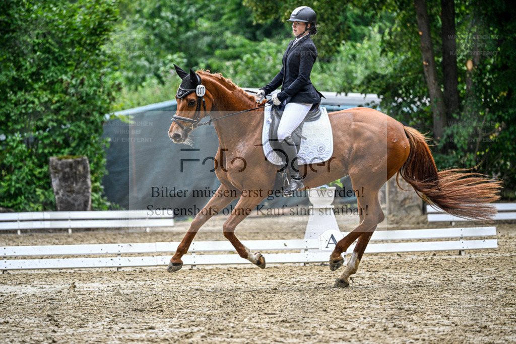 Bissendorfer Reitertage | Entdecke hochwertige Reitturnierfotos von Foto Oger. Professionell, emotional und authentisch – jetzt Lieblingsmomente im Shop bestellen. - Realisiert mit Pictrs.com