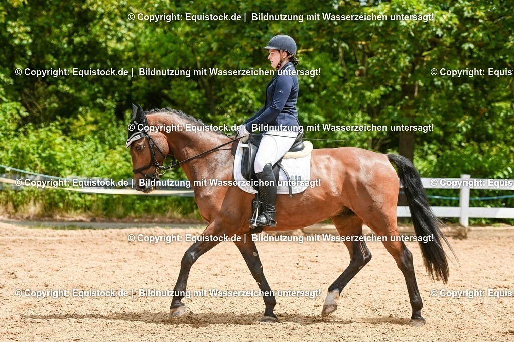20230716_03_Dressurprfg. Kl.L - Tr._0658 | equistock