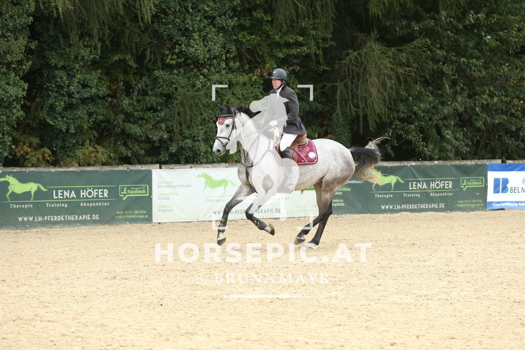 DL2Q6233 | Willkommen bei Brunnmayr - Design & Fotografie – Ihrem Spezialisten für Reitturniere und Pferdeveranstaltungen in Oberösterreich, Salzburg und Bayern! Seit über 17 Jahren sind wir leidenschaftlich dabei.