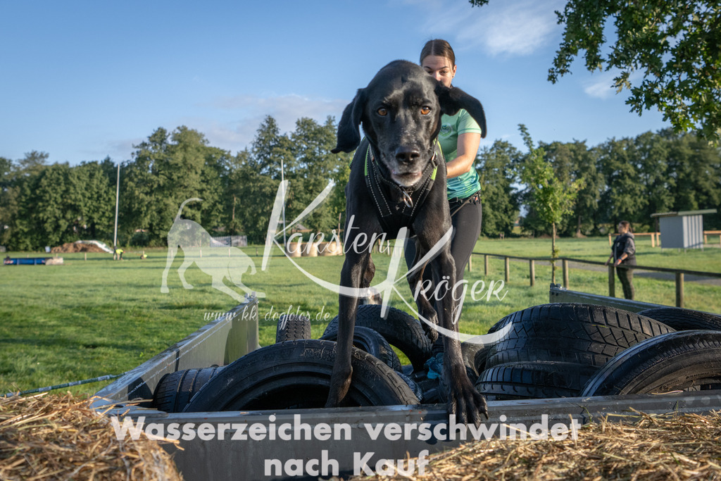 0830_ZZ91694 | kk-dogfotos