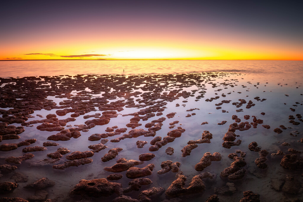 Australien Stromatolithen 01 | christophschaarschmidt - Realisiert mit Pictrs.com
