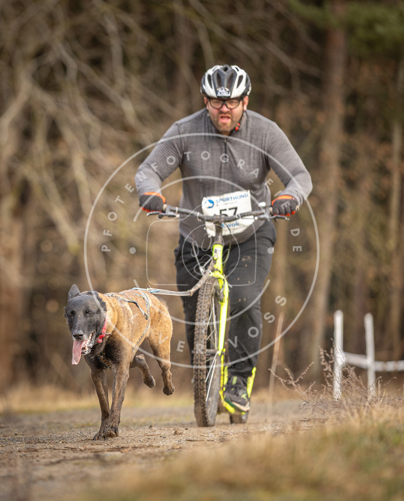 DV3A3485 | Hundefotografie, Tierfotograf, Pfotenfotografie, Fotoshooting Hund, Hunde Portrait, Hundesport, Hundeportraits, Heideshooting, Hunde, Sportfotograf, Hundefotograf, Turnierhundsport, THS,  - Realisiert mit Pictrs.com