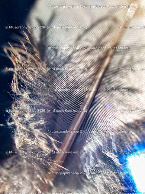 titusgraphy_P3085116-vz-ln | titusgraphy-shop: Geschenkideen mit Qualitätsfotos. titusgraphy-shop: gift ideas with quality photos. titusgraphy-shop: idées cadeaux avec photos de qualité.  - Realisiert mit Pictrs.com