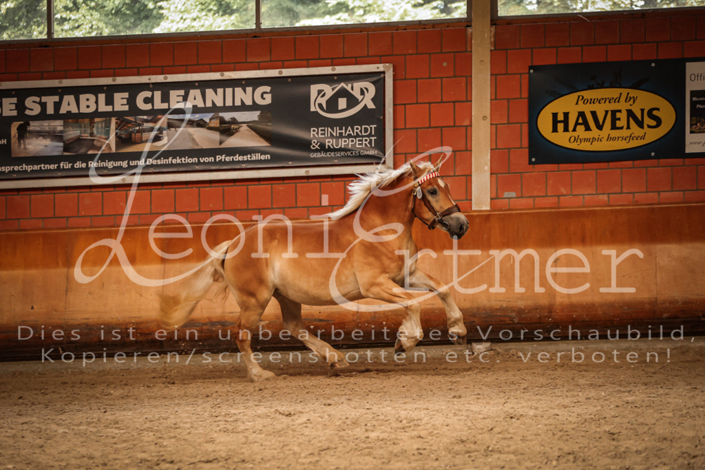 SaFL00216 | Leoni Ertmer Photography - Realisiert mit Pictrs.com