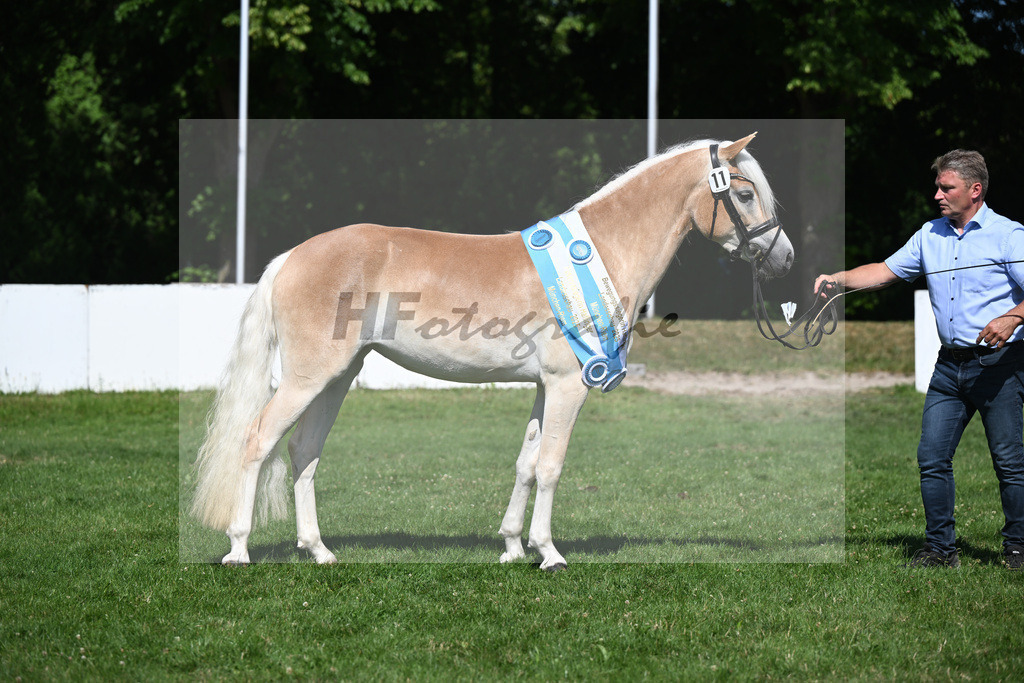 Kat-Nr. 11 Lady Cool v. Wetterstein_Gossner_18251558 | hf-fotografie - Realisiert mit Pictrs.com