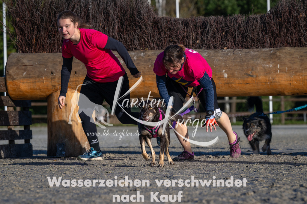 0949-94837 | kk-dogfotos