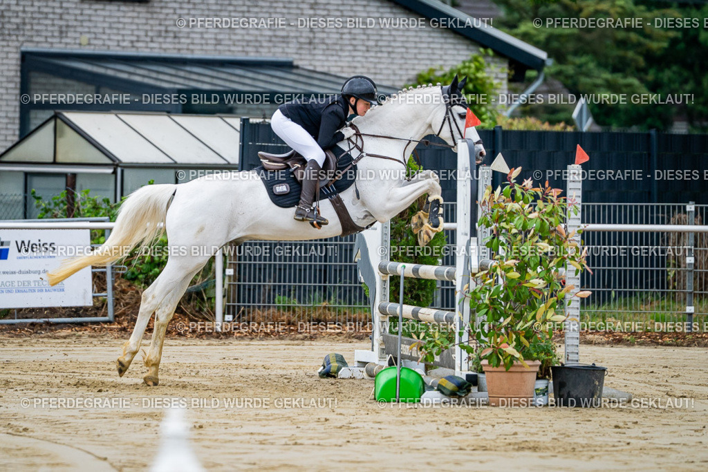 DSC01768 | Pferdegrafie