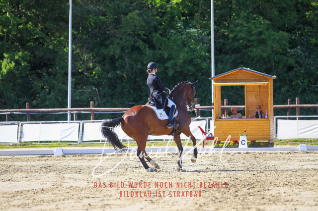 DKP42688 | Turniersportfotografie; Pferdefotografie; Dressurfotografie