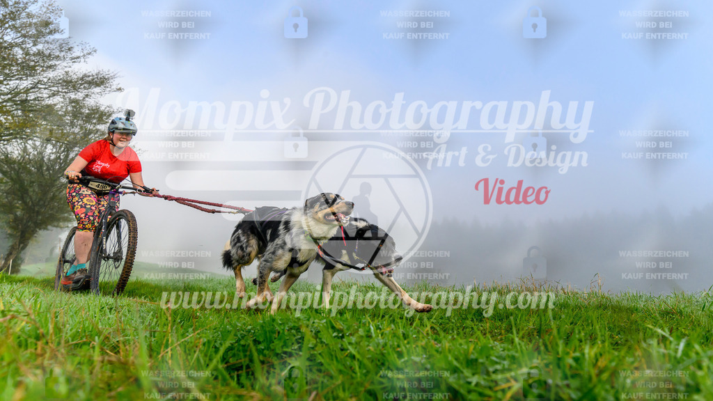 MompixPhotography_20TSB_E5_DS2-13 | PayLife