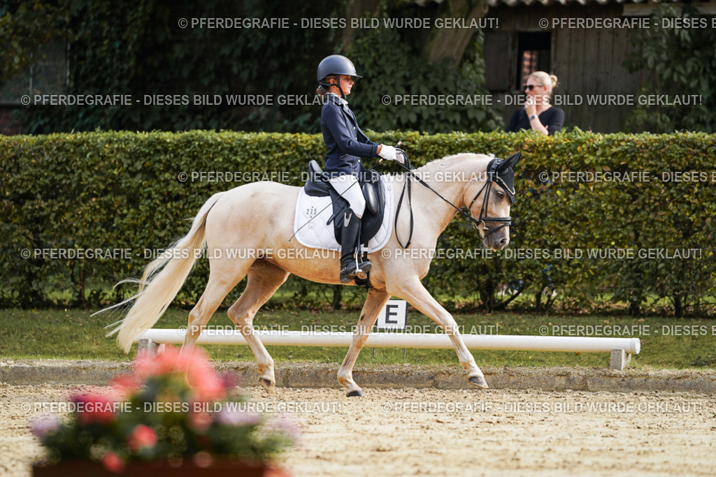 DSC04799 | Pferdegrafie