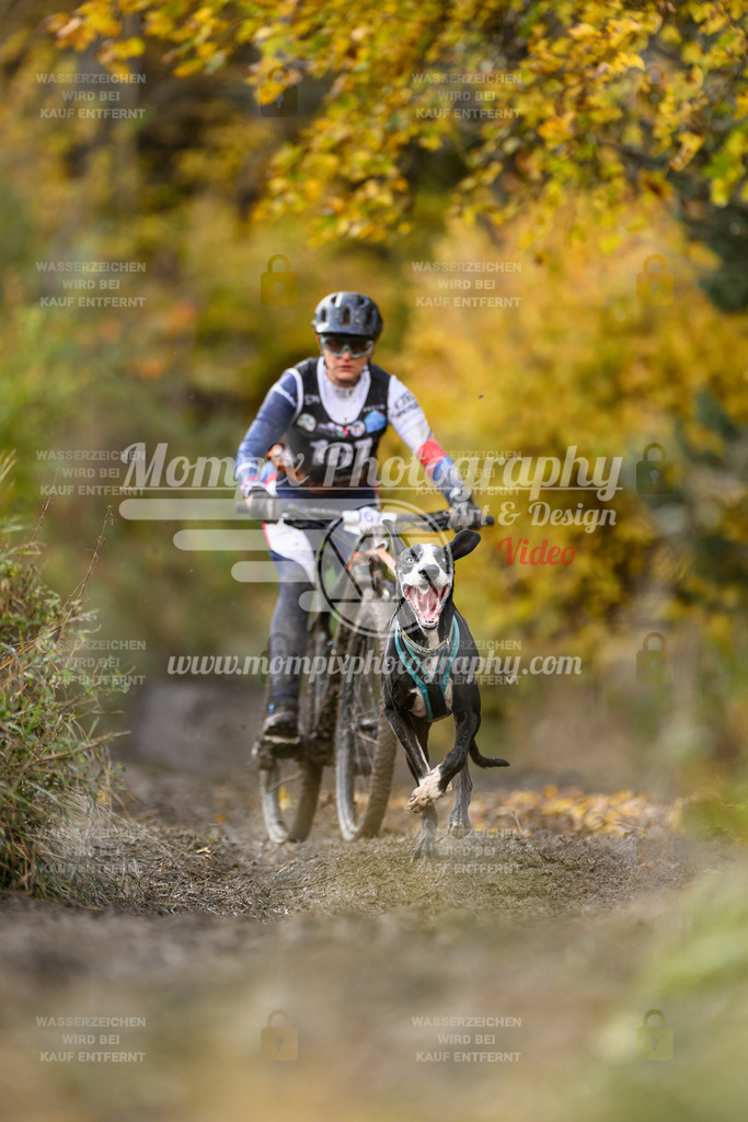MompixPhotography_ICF_WC_2024_SA_Bike_-224 | PayLife