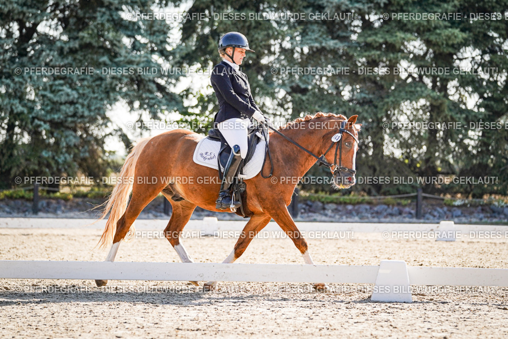 DSC09957 | Pferdegrafie