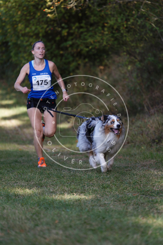 0L8A5589 | Hundefotografie, Tierfotograf, Pfotenfotografie, Fotoshooting Hund, Hunde Portrait, Hundesport, Hundeportraits, Heideshooting, Hunde, Sportfotograf, Hundefotograf, Turnierhundsport, THS,  - Realisiert mit Pictrs.com