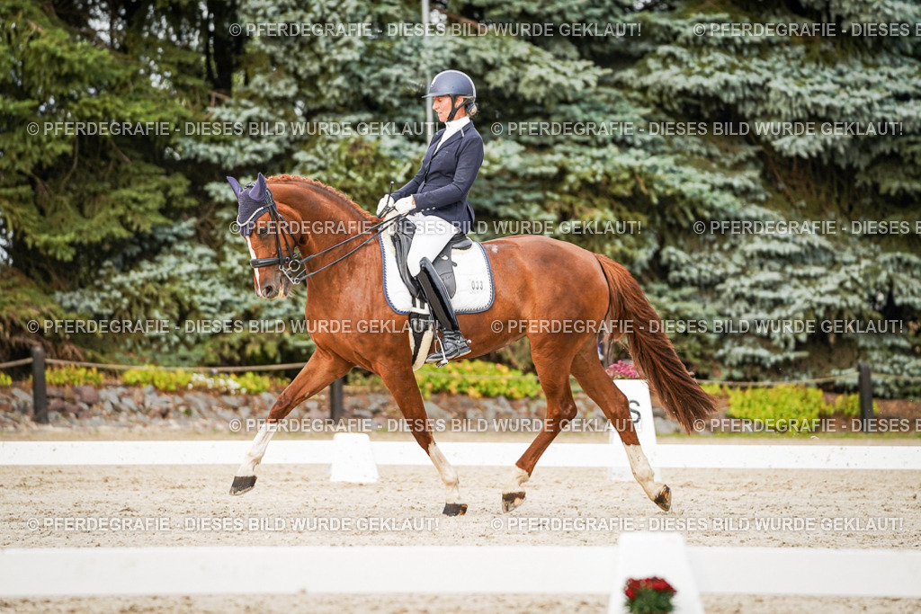 DSC09140 | Pferdegrafie