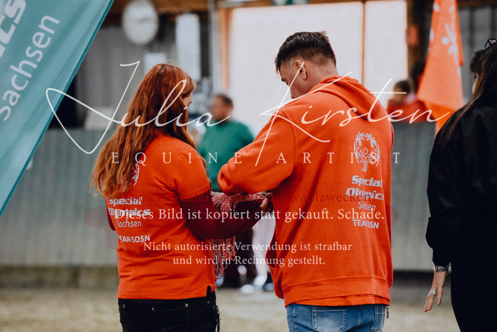 DSC_7013 | Pferde- und Turnierfotografie in Westsachsen. Pferdeportraits, Auftragszeichnungen und intuitive Kunst.