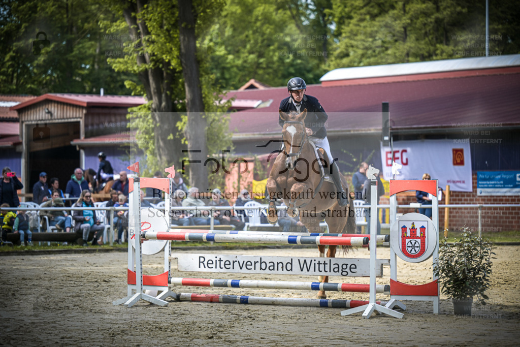 DOS_6463 | Entdecke hochwertige Reitturnierfotos von Foto Oger. Professionell, emotional und authentisch – jetzt Lieblingsmomente im Shop bestellen. - Realisiert mit Pictrs.com