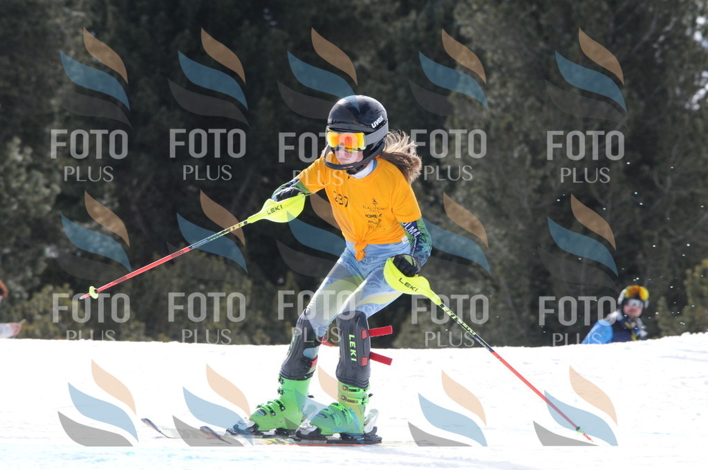 C8790 | holidayphoto