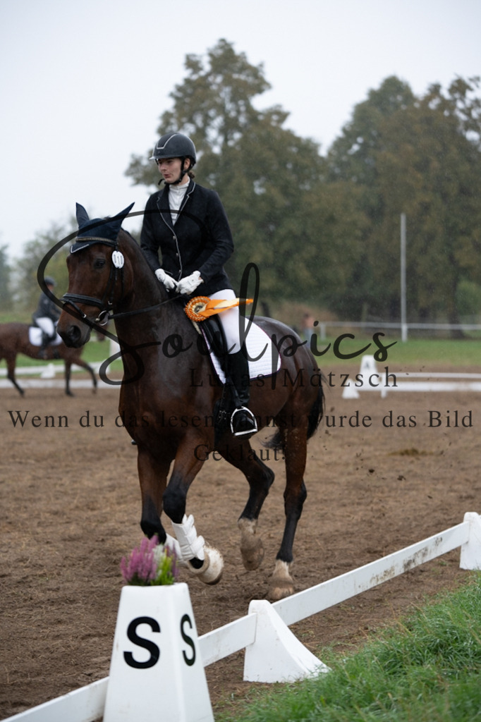 A7V05802 | Pferdefotograf