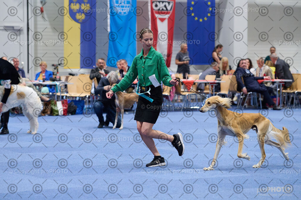 202406_ÖKV-IHA-Tulln24_DSC_3251 | proPHOTO - Realisiert mit Pictrs.com