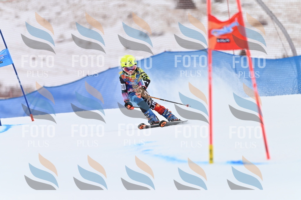 BGV_2675 | holidayphoto