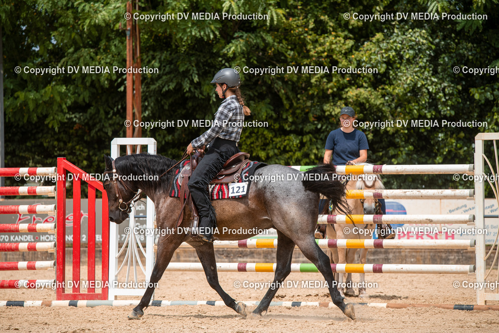 EWP_6312 | dv-media-shop - Realisiert mit Pictrs.com