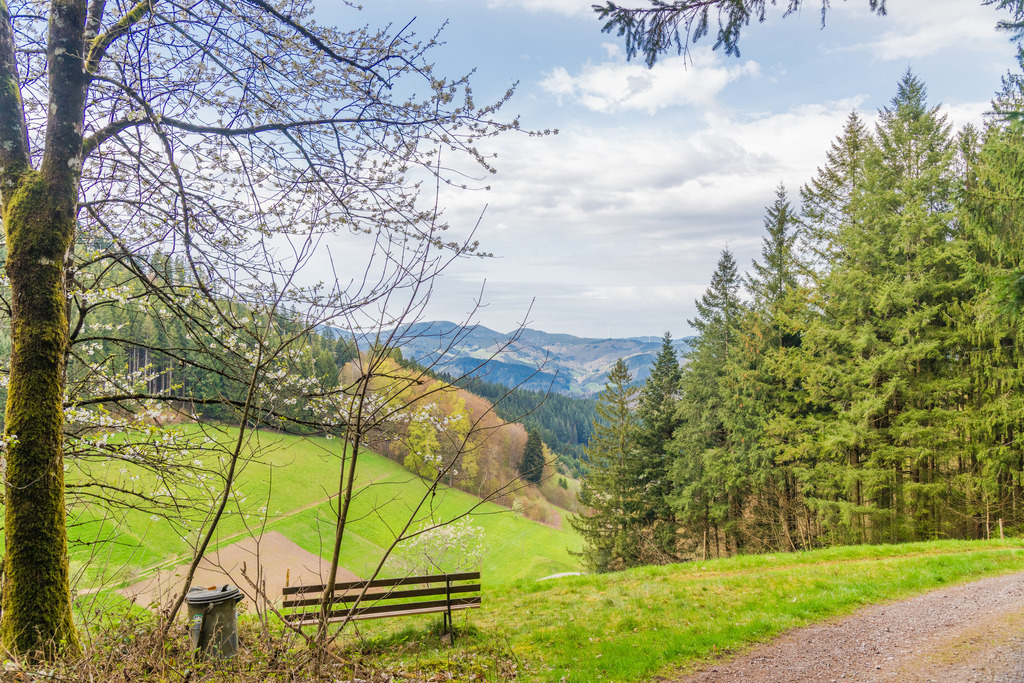 Ruhebak | <div id="allefotografen-seal-verified-green"></div><script src="https://www.allefotografen.de/956728/seal-verified-green/seal.js" async="async"></script> - Realisiert mit Pictrs.com