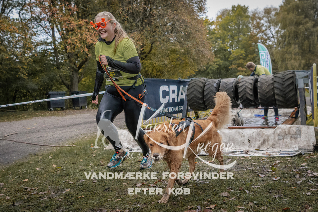 1708_ZZ90049 | kk-dogfotos