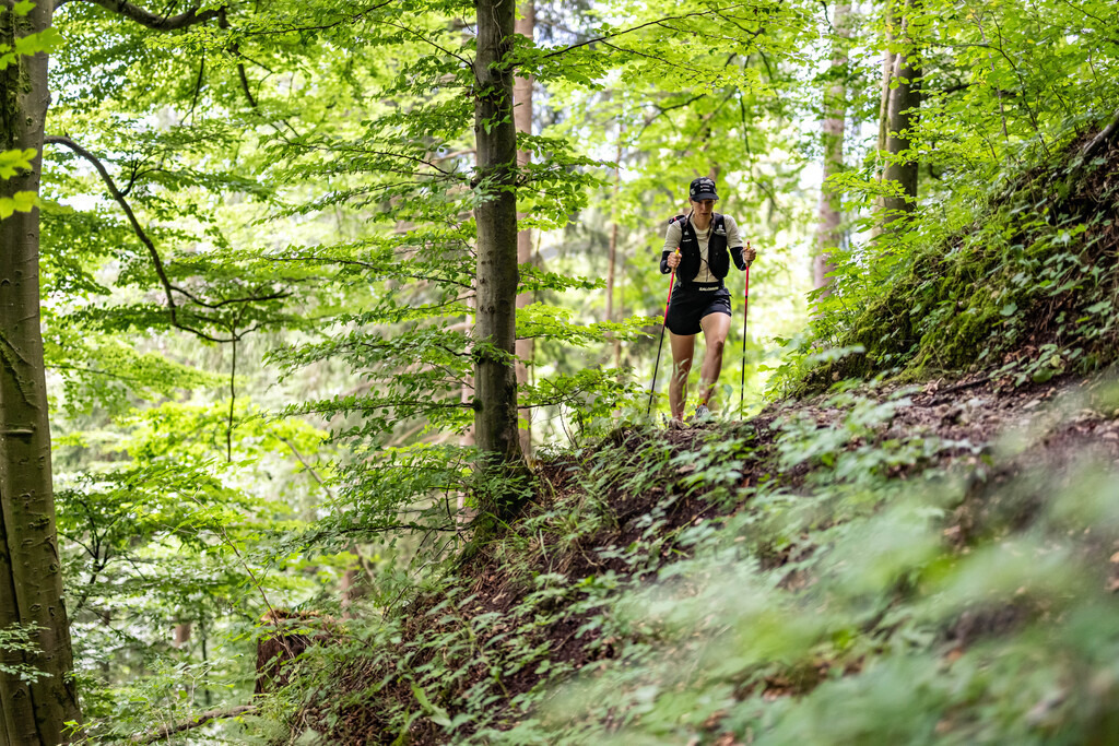 36. Gebirgsmarathon | Immenstadt, 23.08.2025 - 36. Gebirgsmarathon im Naturpark Nagelfluhkette. Einer der anspruchsvollsten​und ältesten Bergläufe​Deutschlands.Foto: Dominik Berchtold/www.dberchtold.com